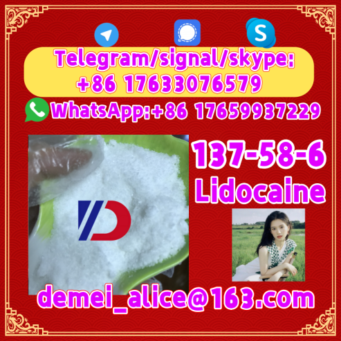 Manufacturer Supply Raw Material CAS 137-58-6 Lidocaine