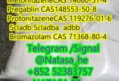 Protonitazene CAS 119276-01-6