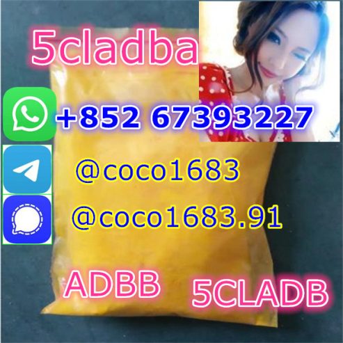 5cl-adb-a Research Chemical cannabinoid yellow Powder