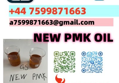 NEW PMK OIL CAS 28578-16-7