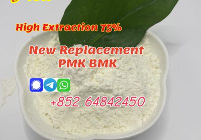 2025 New bmk powder with High concentration best price in stock