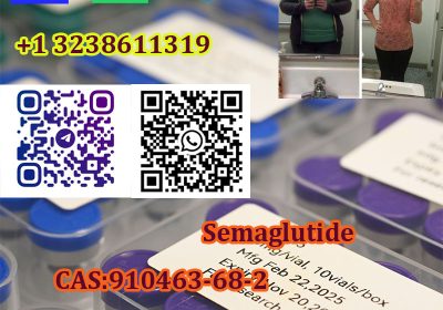 Semaglutide CAS910463-68-2