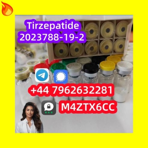  Tirzepatide peptide CAS 2023788-19-2 wholesale price