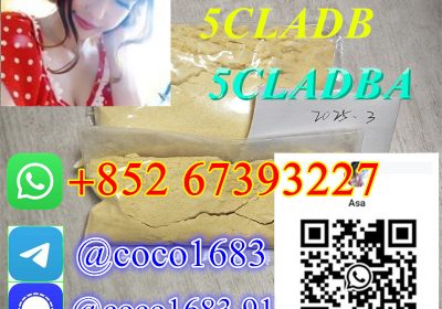 5cladba,Raw Materials Spot Suppliers 5F-ADB 100%
