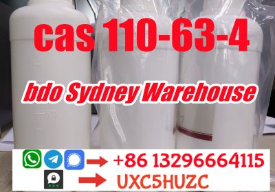 New Zealand BDO Liquid 1,4-Butanediol NZL CAS 110-63-4 1 4 BDO