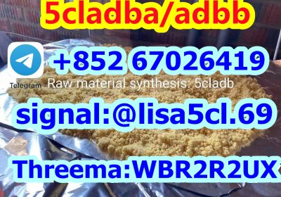 5cladba 5FMDMB Precursor Raw 5cladba Raw Material