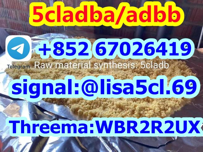 5cladba 5FMDMB Precursor Raw 5cladba Raw Material