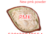 Buy PMK CAS 1369021-80-6 new synthesis route powder with fast and secure shipping telegram@jskche