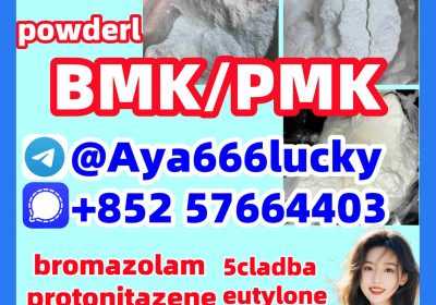 5449-12-7 New pmk powder bmk oil BMK Glycidic PMK oil 52190-28-0