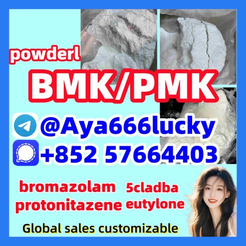5449-12-7 New pmk powder bmk oil BMK Glycidic PMK oil 52190-28-0