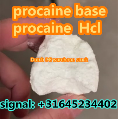 Safe Delivery 99% Pure Procaine Base Powder CAS 59-46-1 – Procaine Powder/Procaina