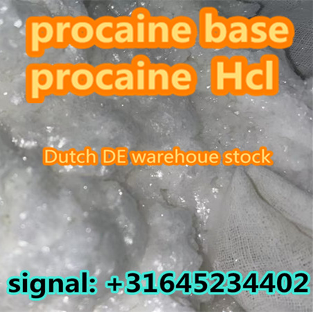 Safe Delivery 99% Pure Procaine Base Powder CAS 59-46-1 – Procaine Powder/Procaina