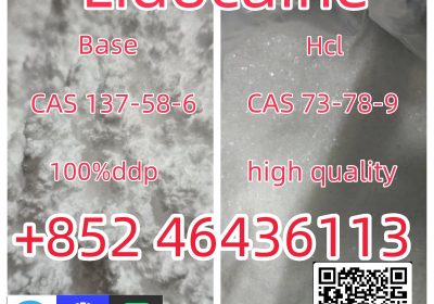 CAS137-58-6 Lidocaine C14H22N2O safe fast delivery Add +852 46436113