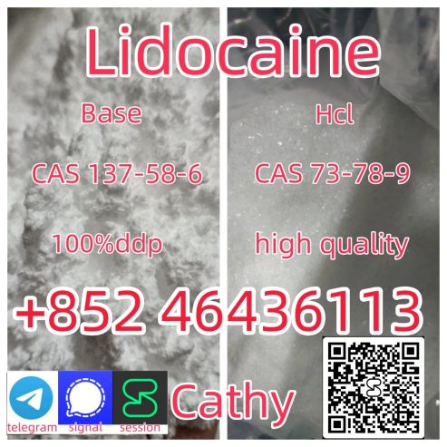 CAS137-58-6 Lidocaine C14H22N2O safe fast delivery Add +852 46436113