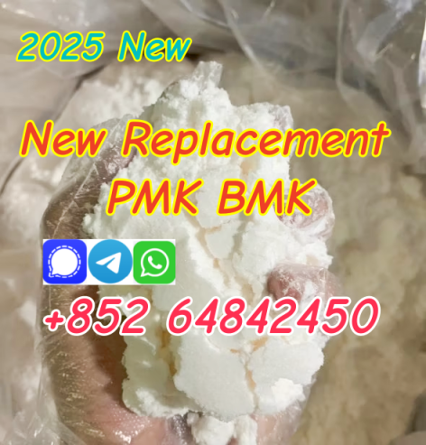best price Cas59-46-1 Procaine Base Procaine hcl with good quality