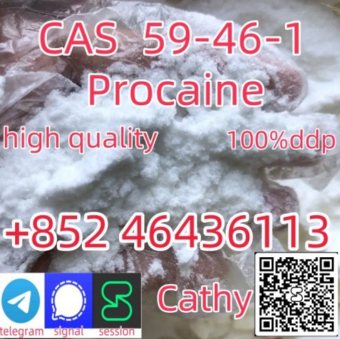 99.9% Pure Procaine/Procaine Hydrochloride Powder CAS 59-46-1 Add +852 46436113