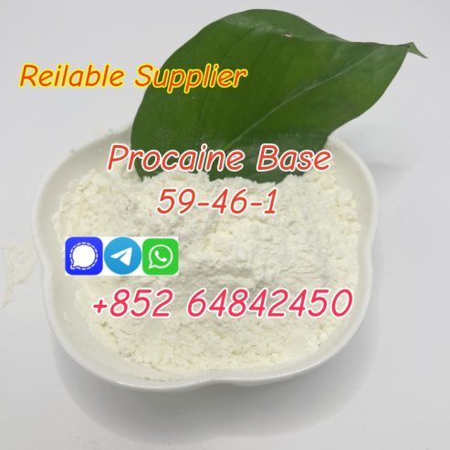 best price Cas59-46-1 Procaine Base Procaine hcl with good quality