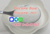 best price Cas59-46-1 Procaine Base Procaine hcl with good quality