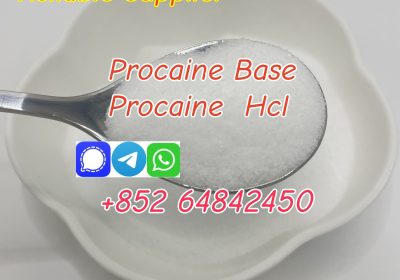 best price Cas59-46-1 Procaine Base Procaine hcl with good quality