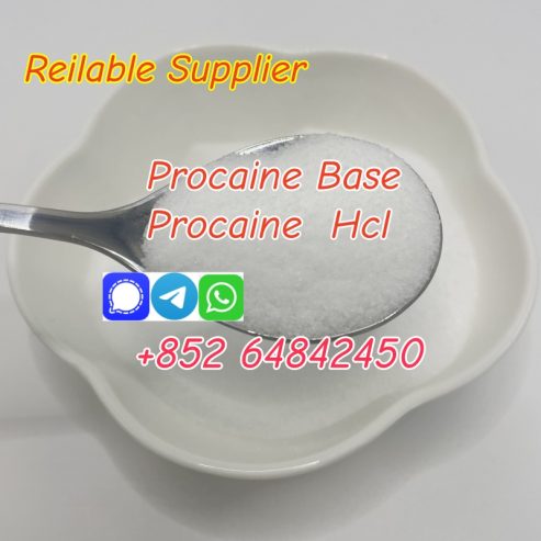 best price Cas59-46-1 Procaine Base Procaine hcl with good quality