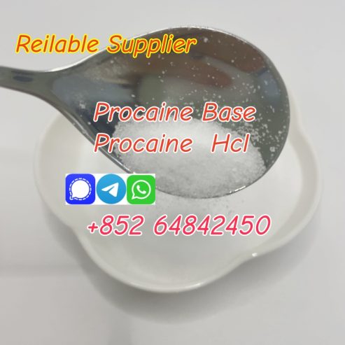 best price Cas59-46-1 Procaine Base Procaine hcl with good quality