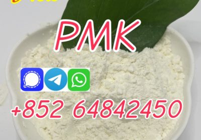 Supply New PMK ethyl glycidate powder low price in stock